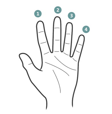 Hand with numbered fingers